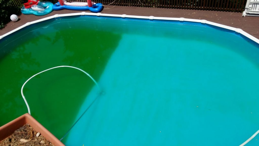 piscina e alghe