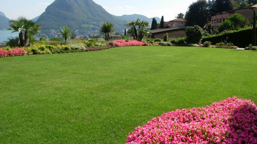 Giardino e piscina