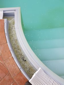 Acqua piscina verde dopo temporale