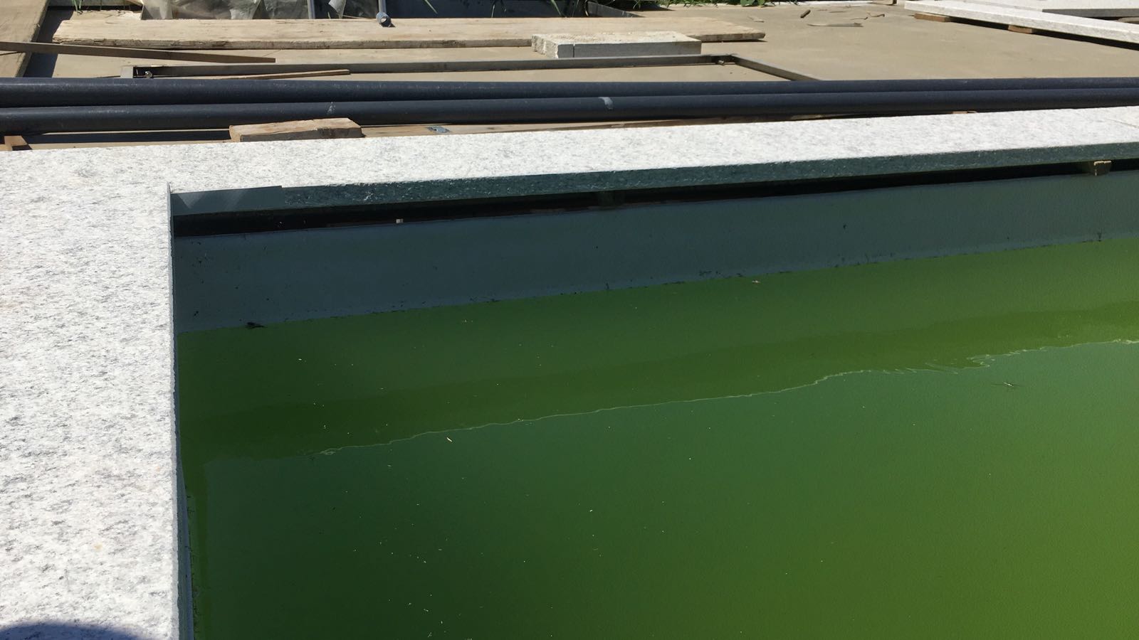 piscina con acqua verde