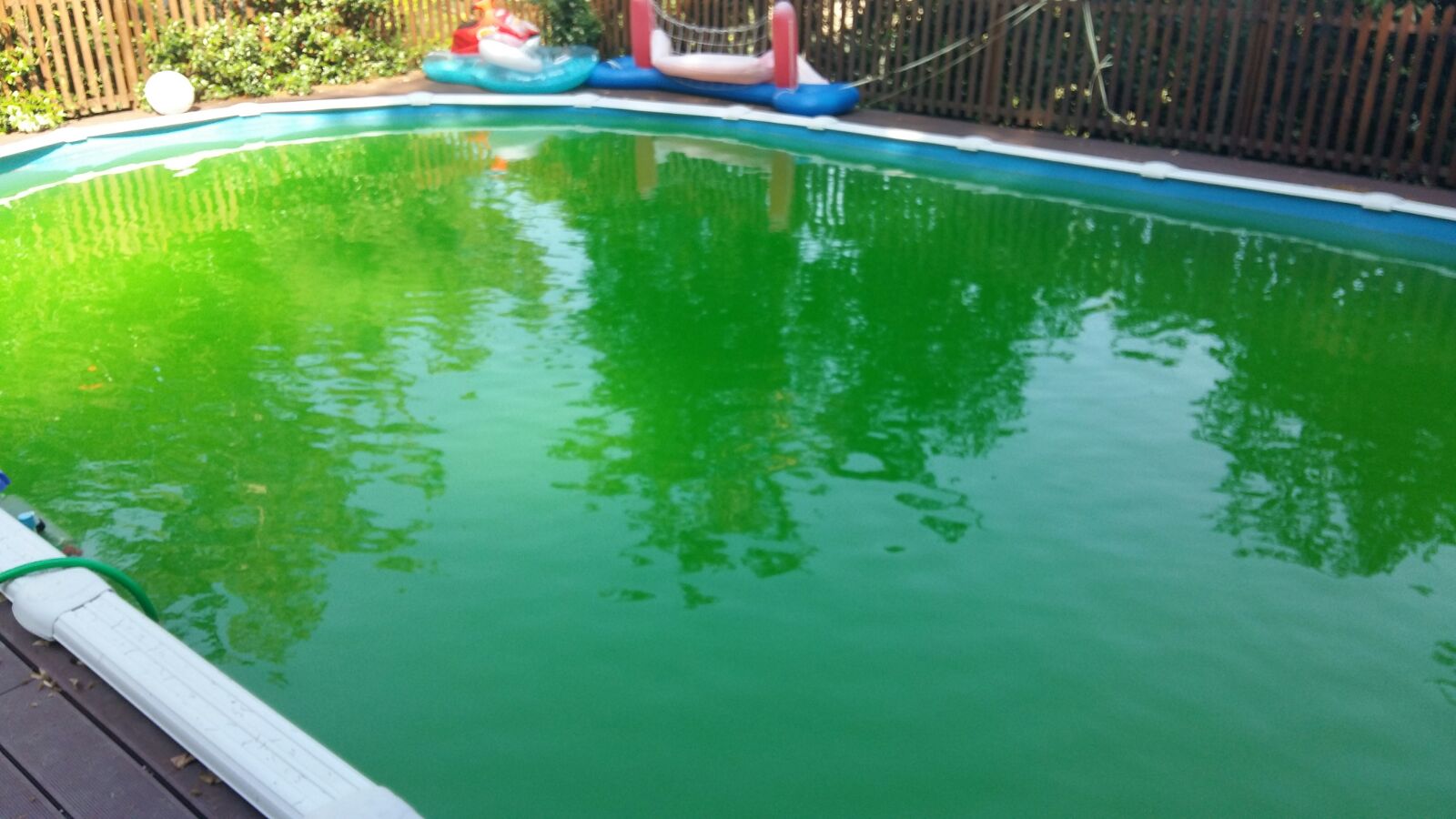 Piscina verde